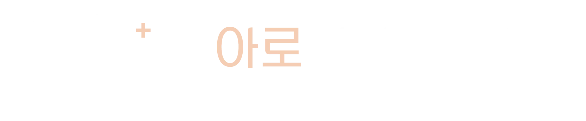 아로내과동물병원